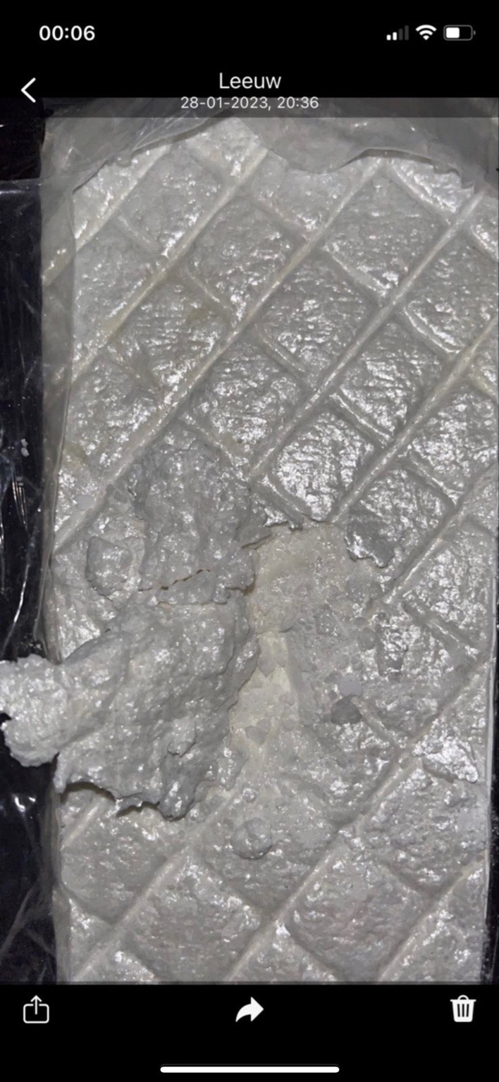 кока 2023-06-20.jpeg